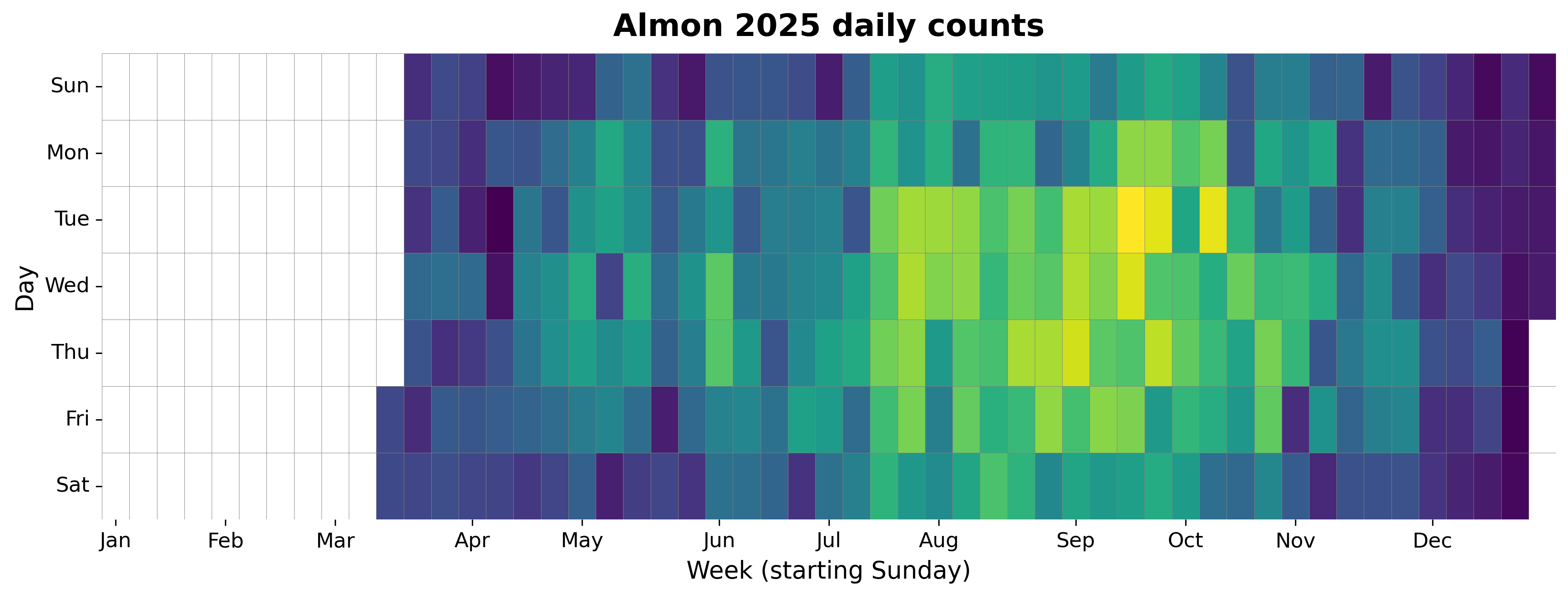 2025 daily heatmap for Almon