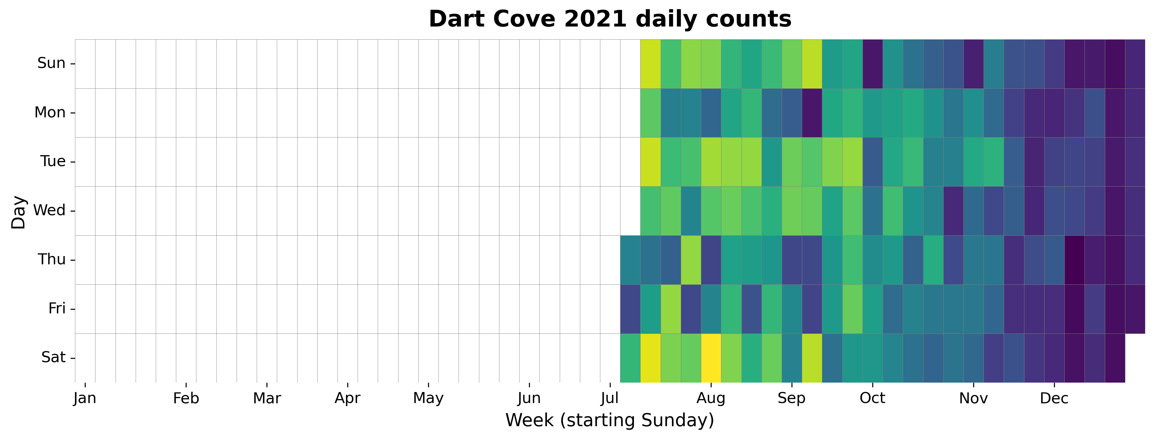 2021 daily heatmap for Dartmouth Cove