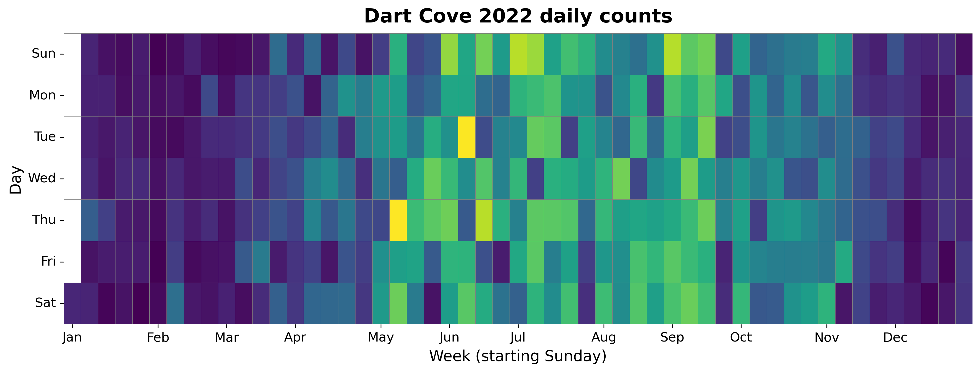 2022 daily heatmap for Dartmouth Cove