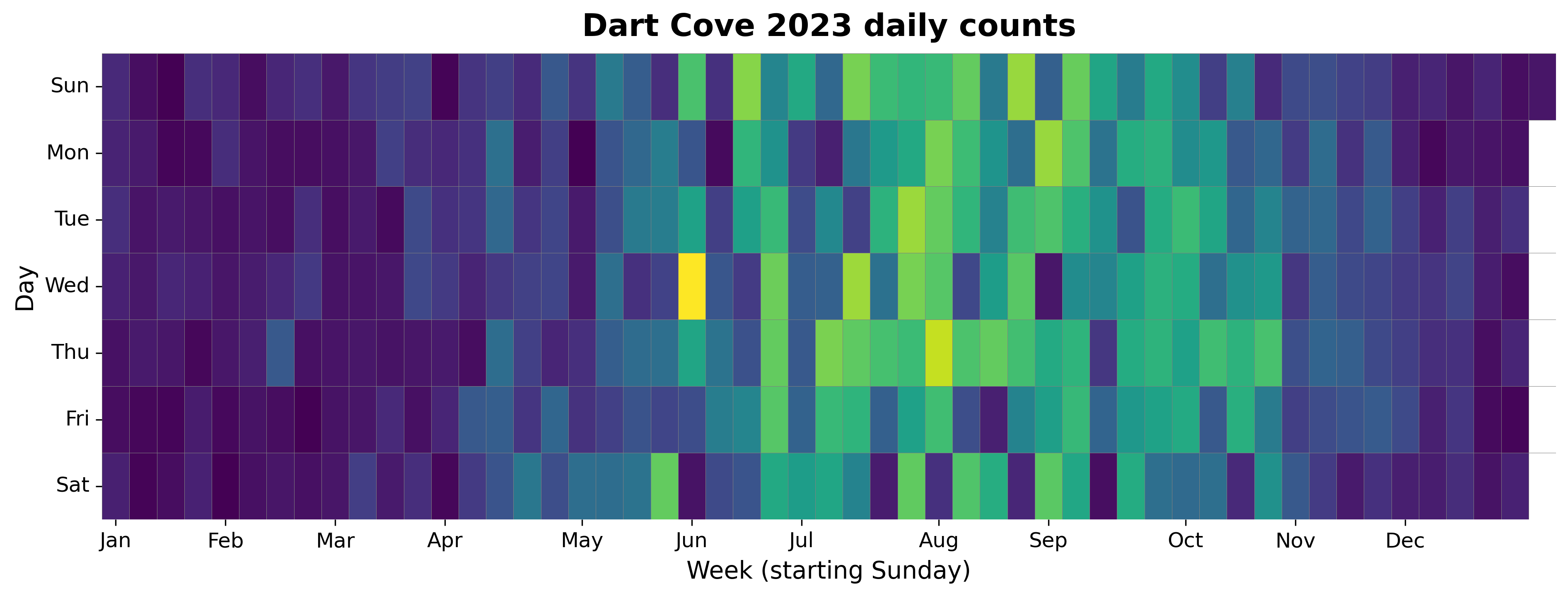 2023 daily heatmap for Dartmouth Cove