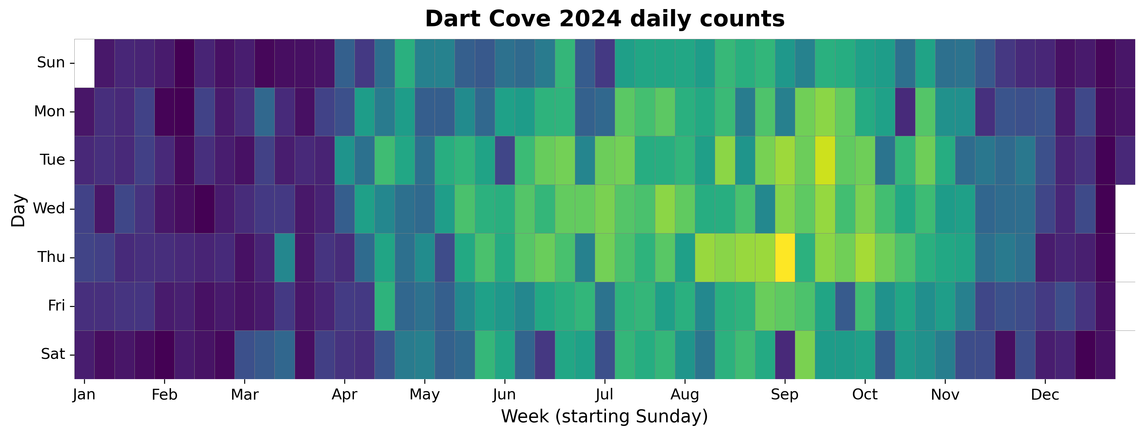 2024 daily heatmap for Dartmouth Cove