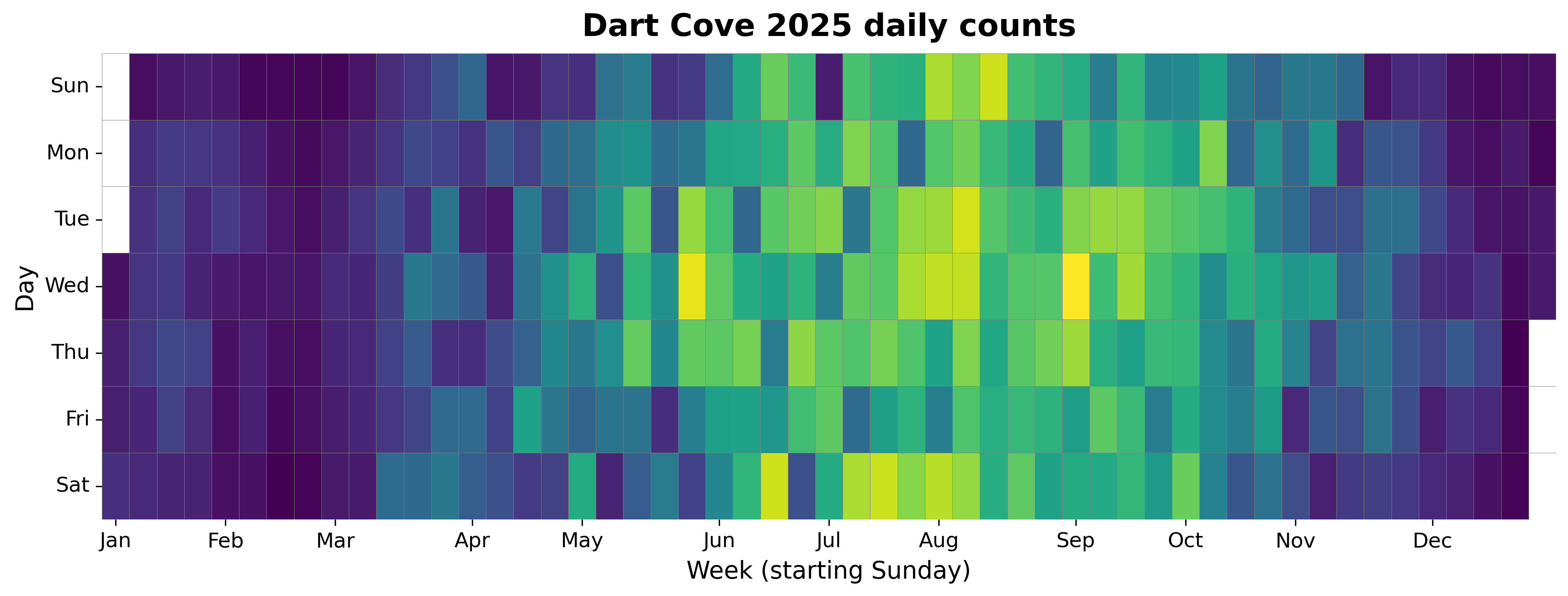 2025 daily heatmap for Dartmouth Cove