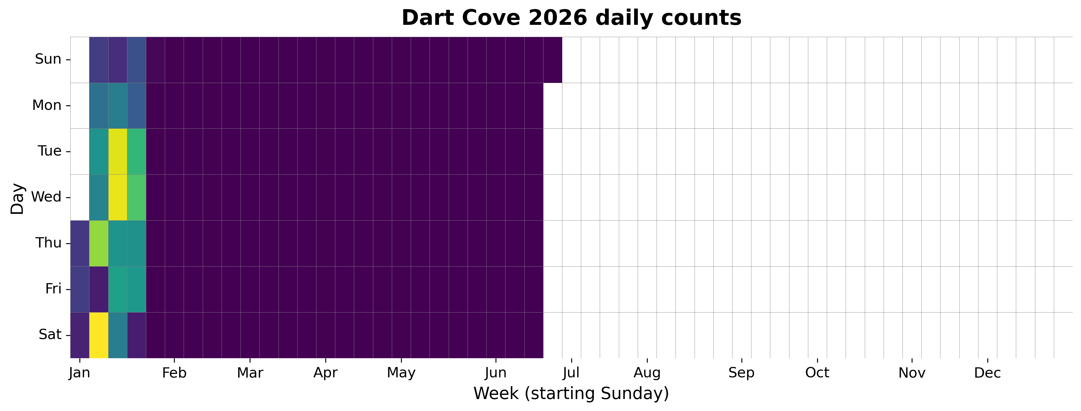 2026 daily heatmap for Dartmouth Cove