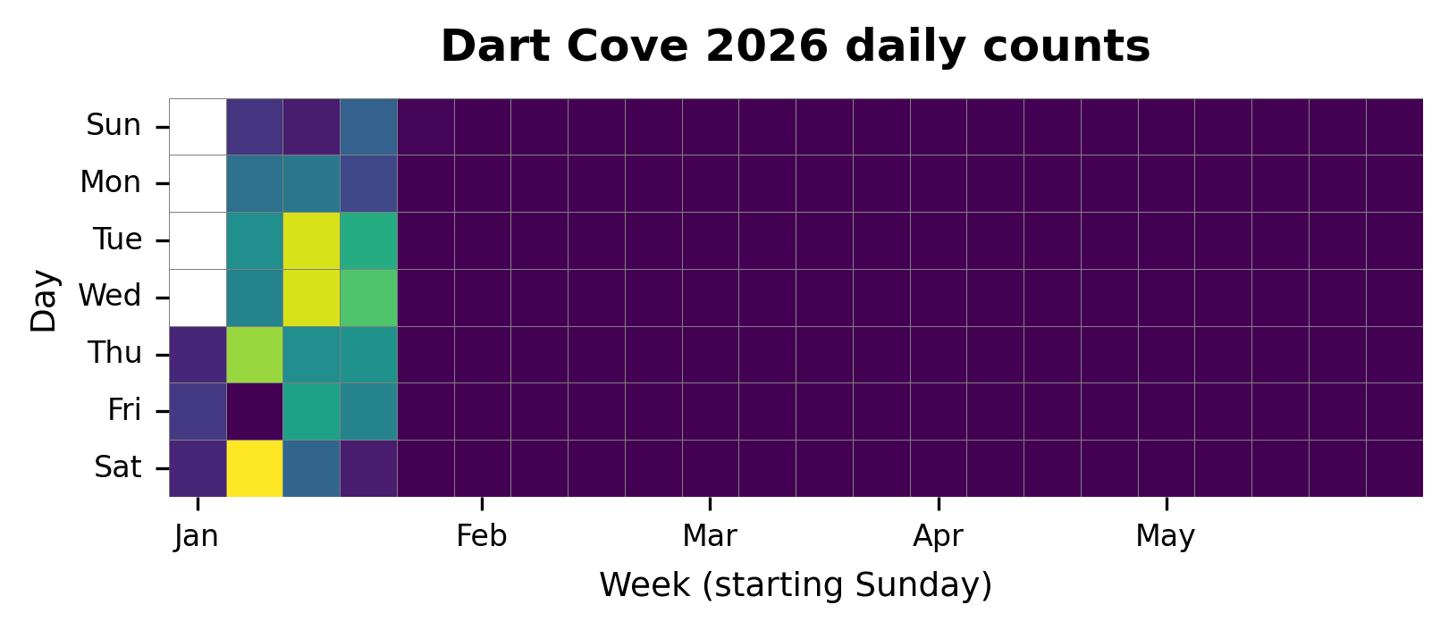 Daily heatmap for Dartmouth Cove