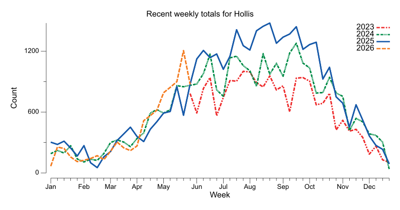 Recent weekly trend chart for Hollis