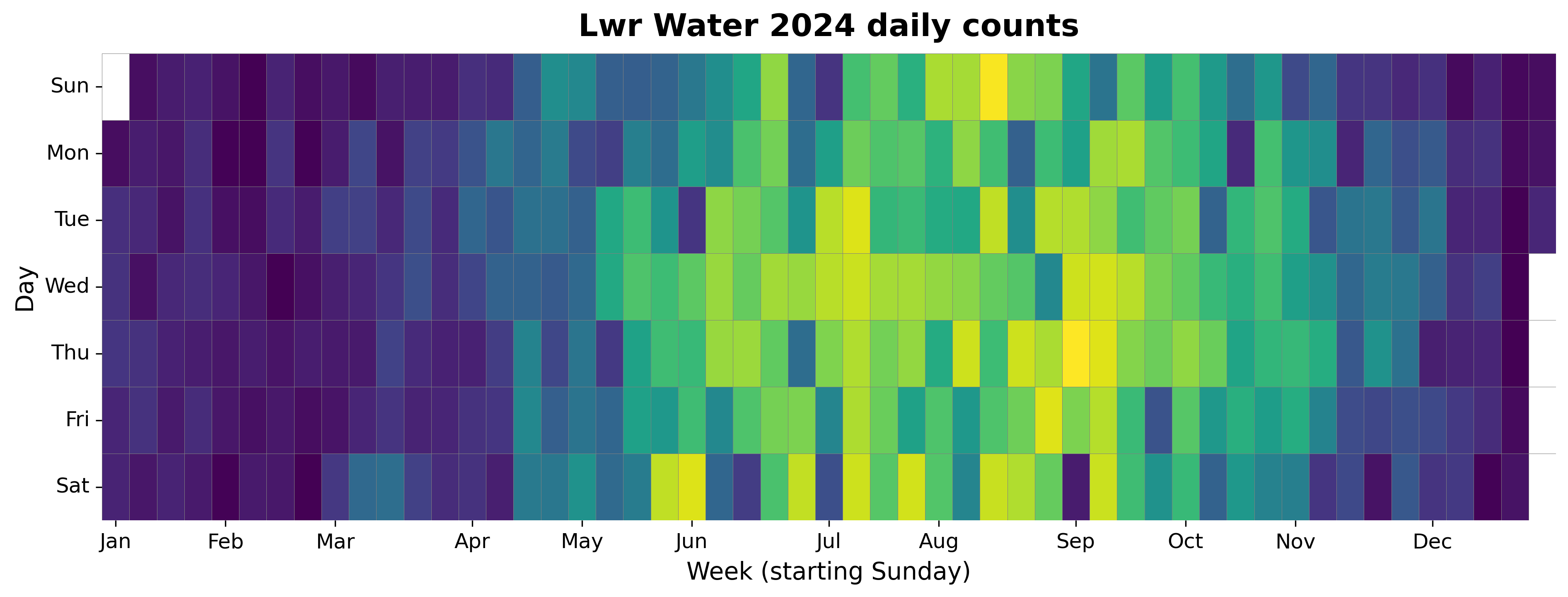 2024 daily heatmap for Lower Water