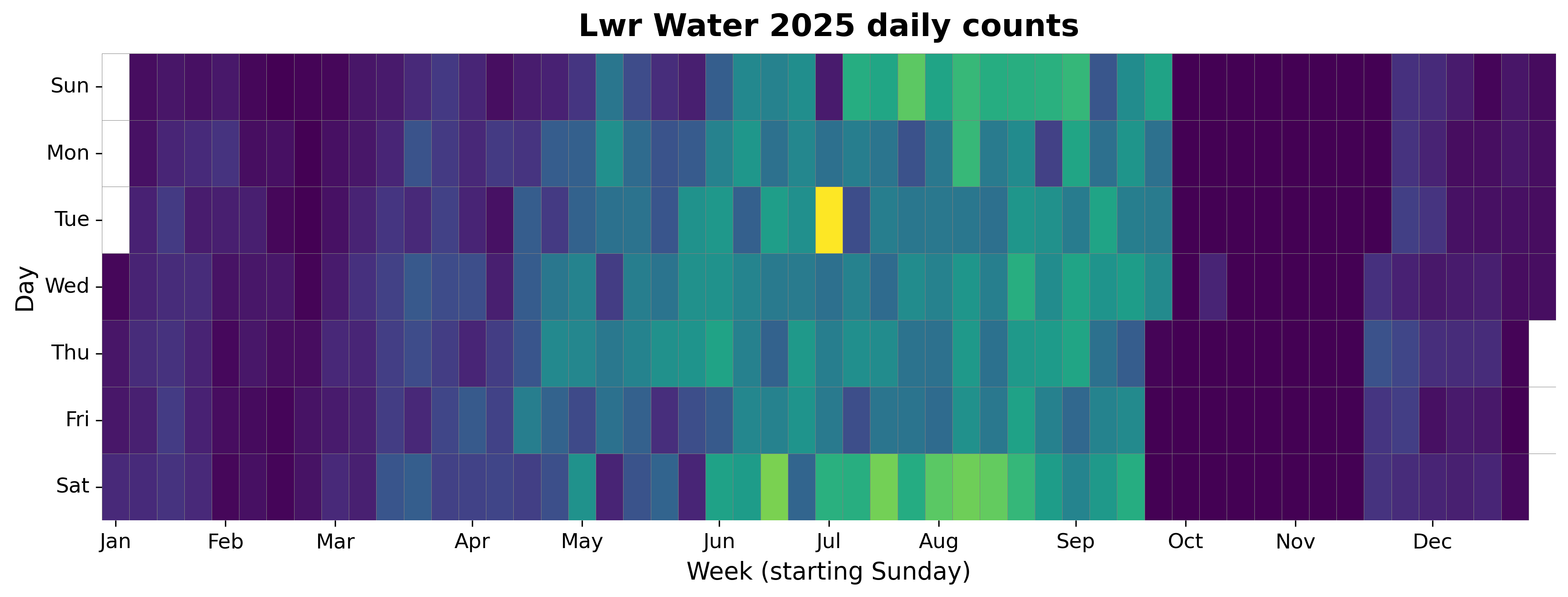 2025 daily heatmap for Lower Water