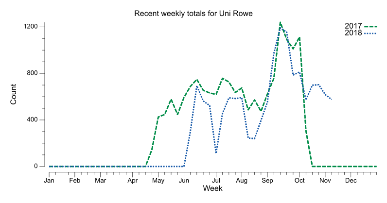Recent weekly trend chart for Uni Rowe