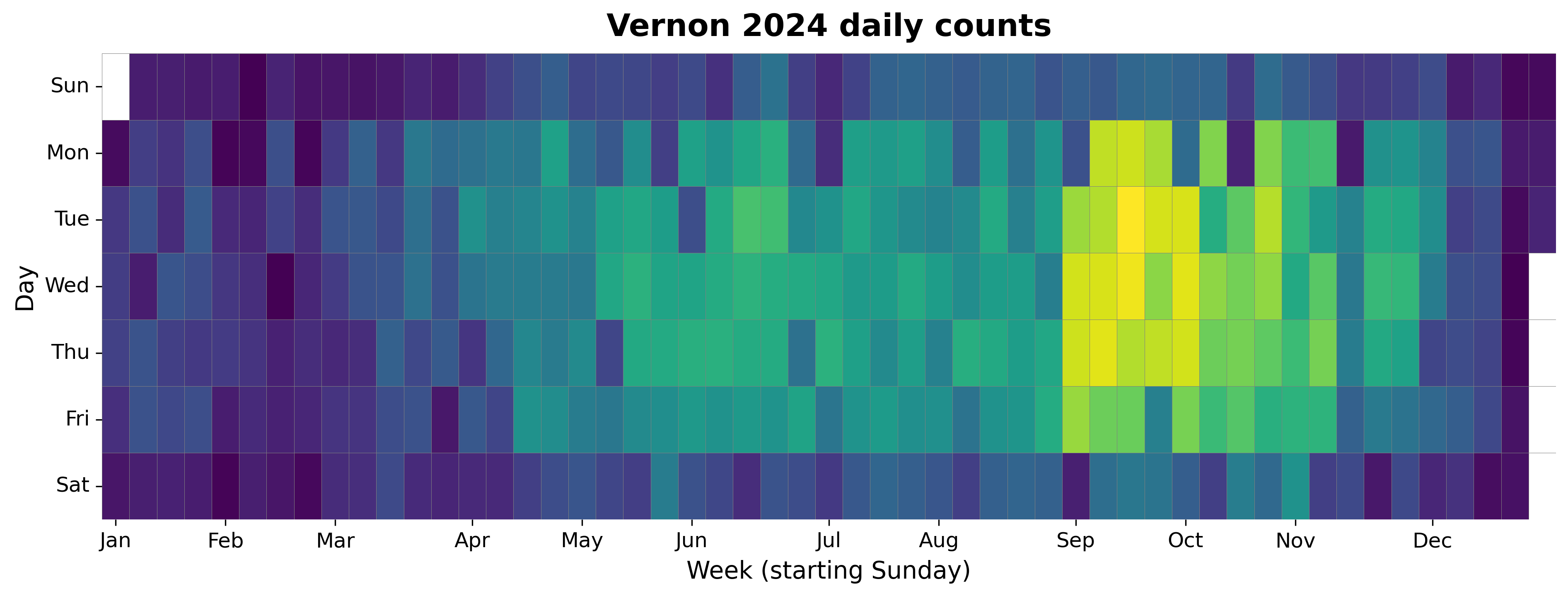 2024 daily heatmap for Vernon