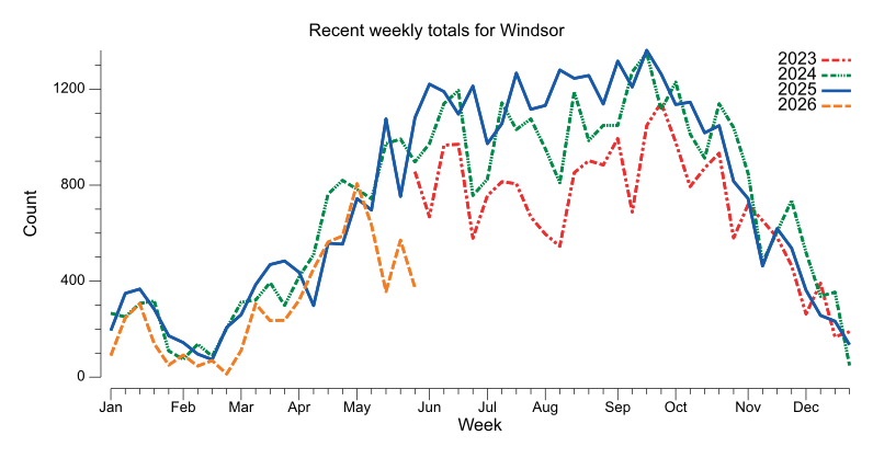 Recent weekly trend chart for Windsor