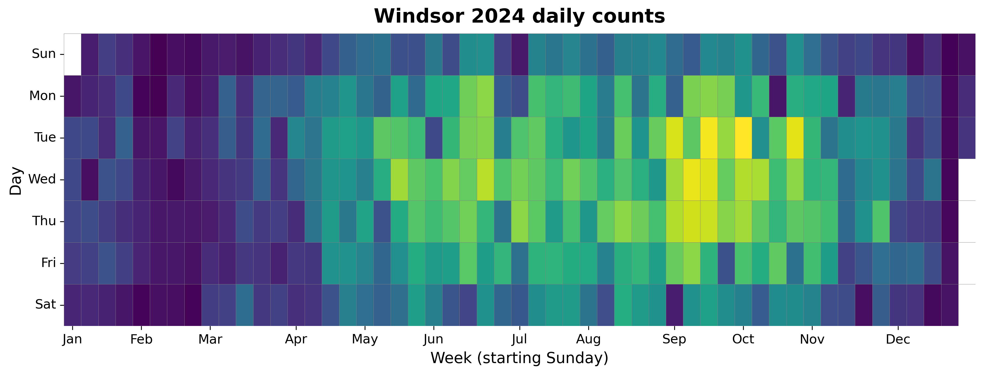 2024 daily heatmap for Windsor