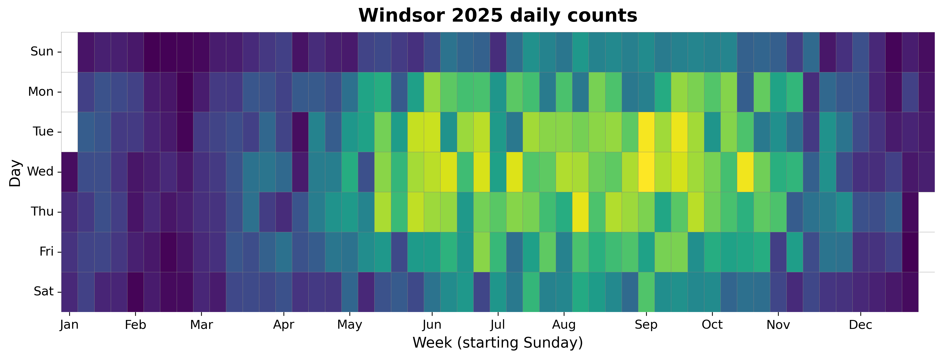 2025 daily heatmap for Windsor